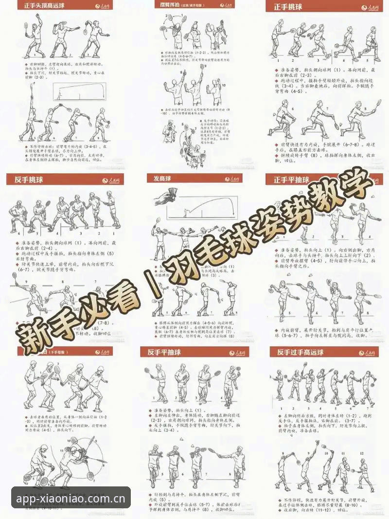 小鸟体育使用教程 小鸟体育使用教程全面评测:从新手到高手的实操指南